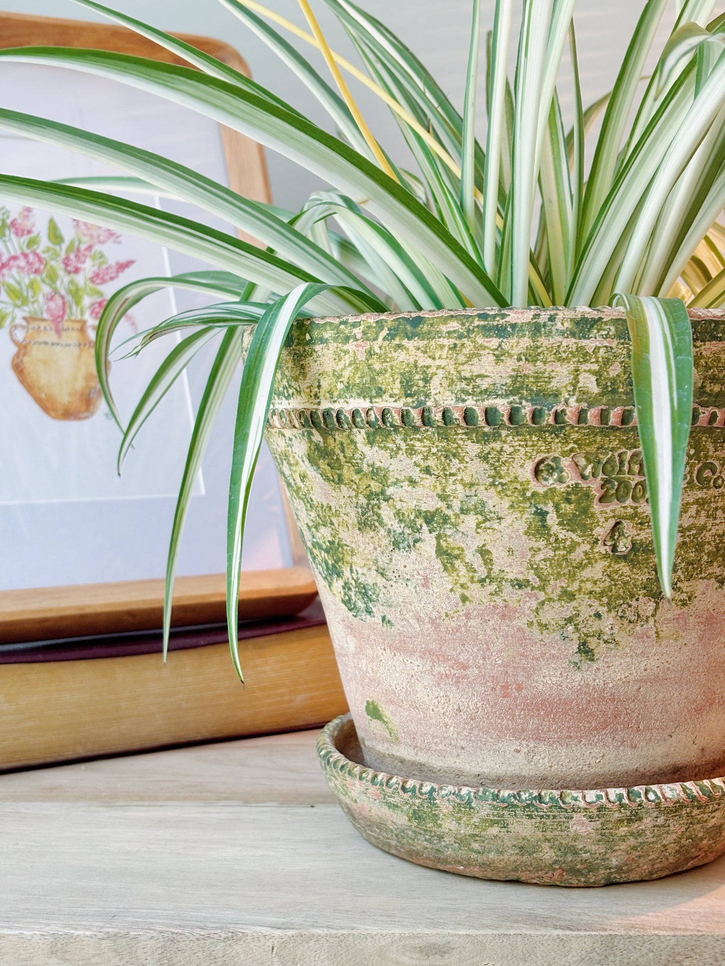 Vintage G Wolff & Co Red Terra Cotta Pot with Stain