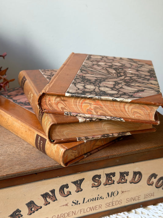 Marbled Leather Book Bundle