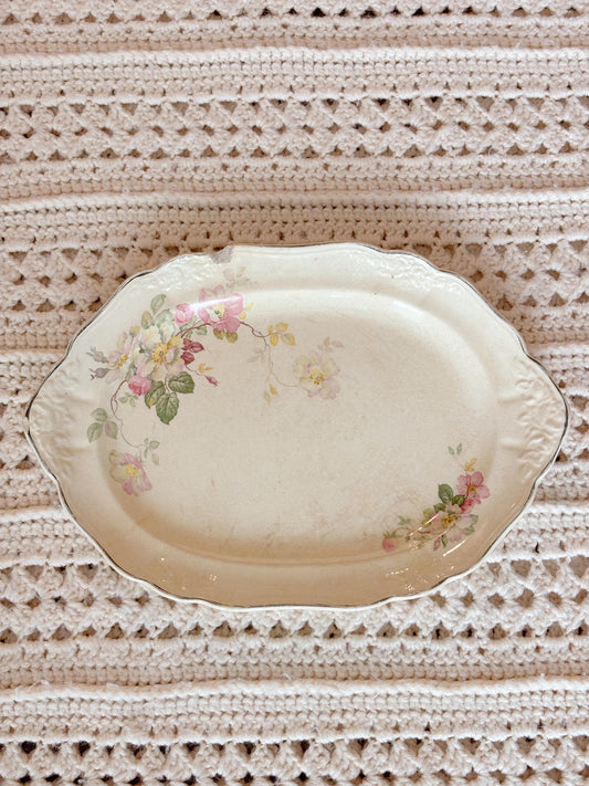 Plate Wall No. 3 (SOLD SEPARATELY)