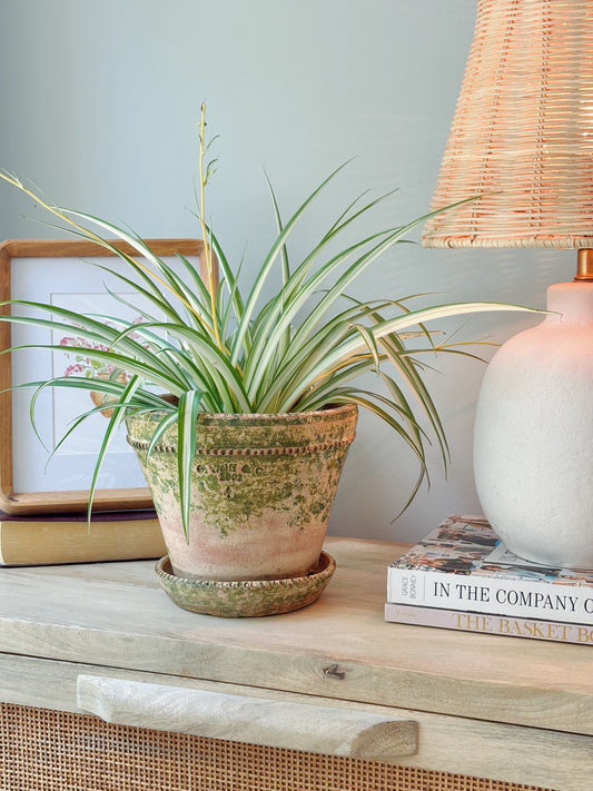 Vintage G Wolff & Co Red Terra Cotta Pot with Stain